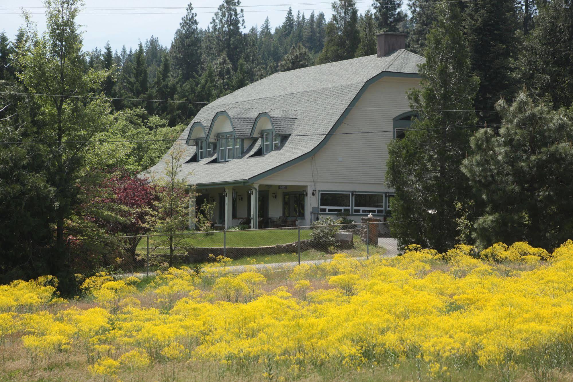 Mount Shasta Ranch Bed And Breakfast Exterior foto